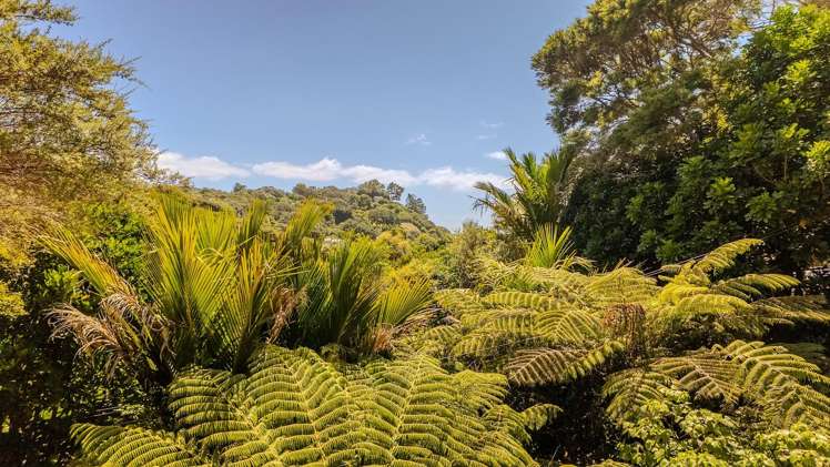 22 Victoria Road North Onetangi_15