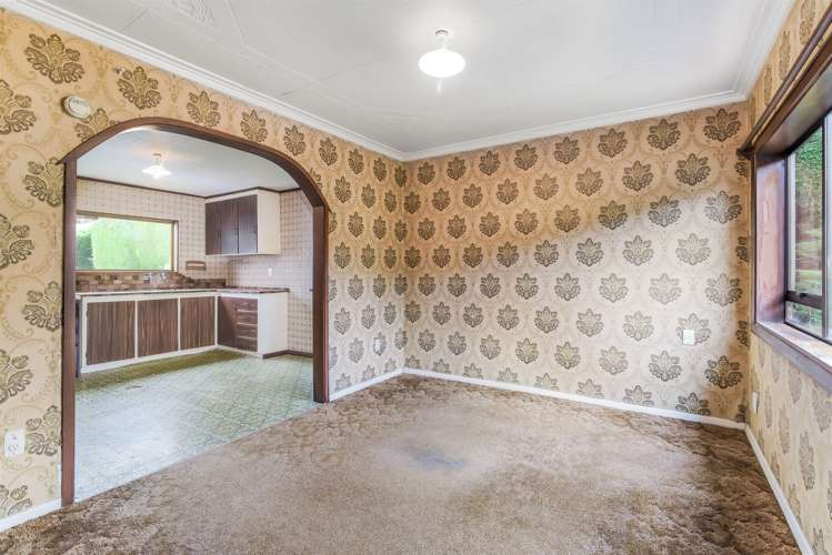 8 Mount Street Wakari_1