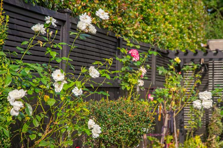 12b Saint Michaels Avenue Point Chevalier_8