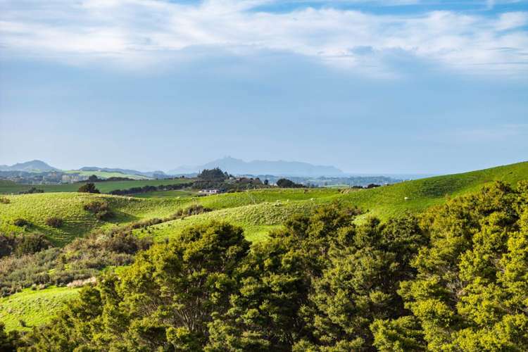 Lots1-7/450 Lawrence Road Mangawhai_8