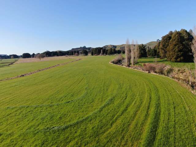 35 Hectares - Supplement Growing Property