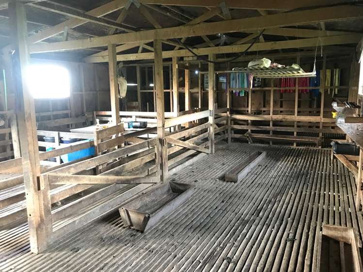 1265 Riponui Road Ruatangata_17