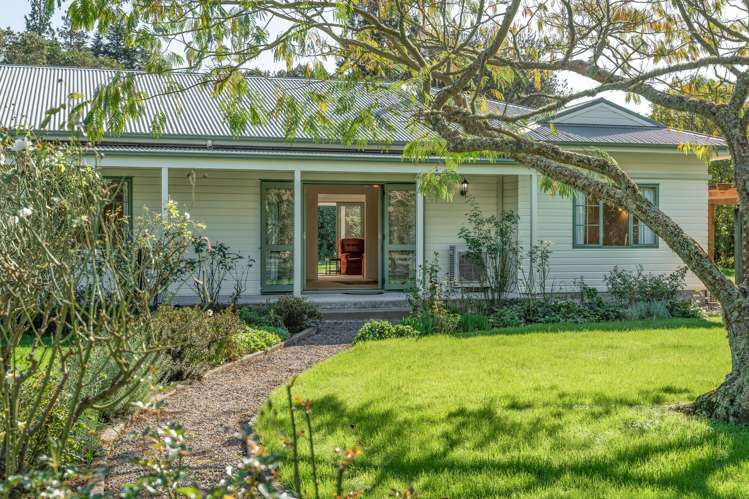 31 Udy Street Greytown_2