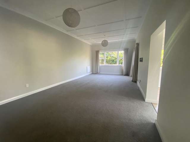 92 Allen Street Morrinsville_3