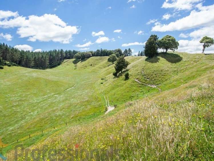 1788 Manawahe Road Manawahe_29