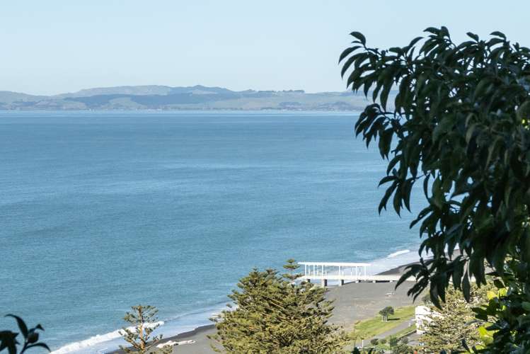 135 Priestley Terrace Bluff Hill_14