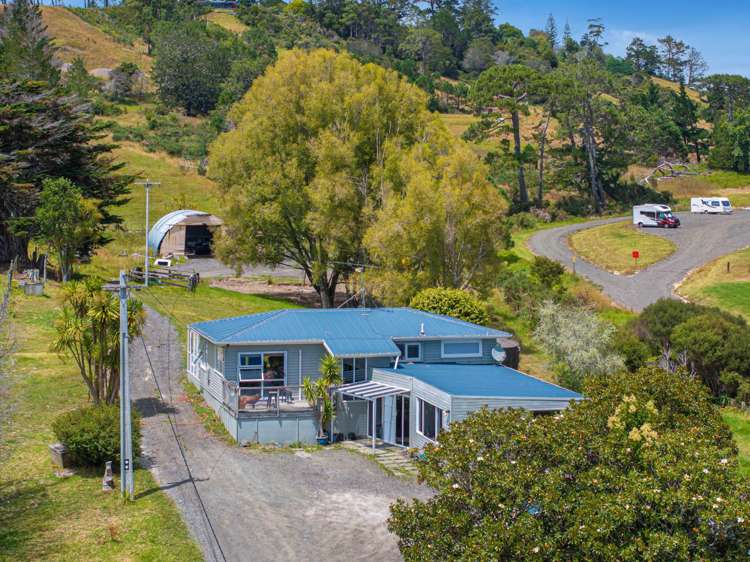 411 Pine Valley Road Dairy Flat_3