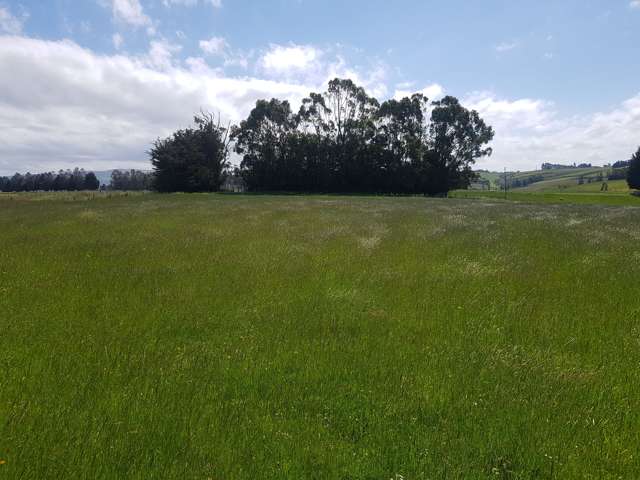 Four Mile Creek Road Balclutha_4