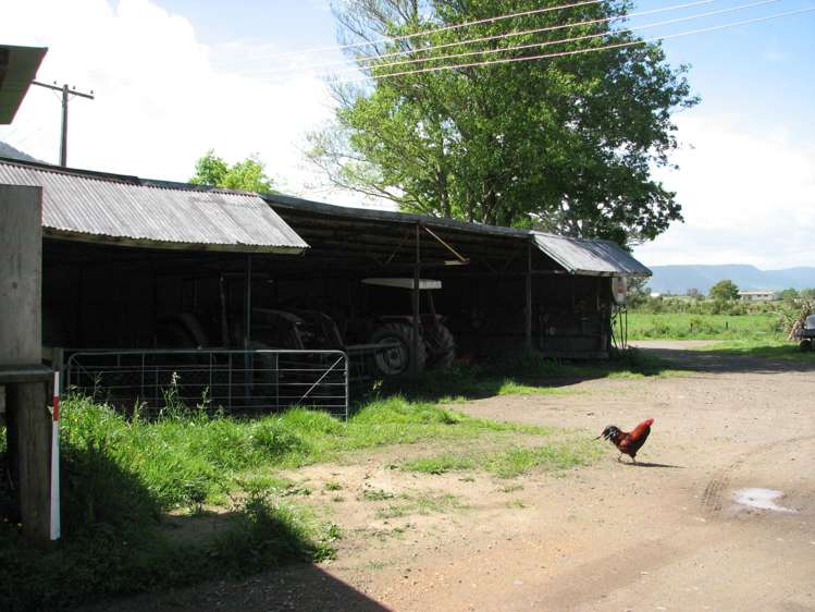 1704 Te Aroha-Gordon Road Te Aroha_10