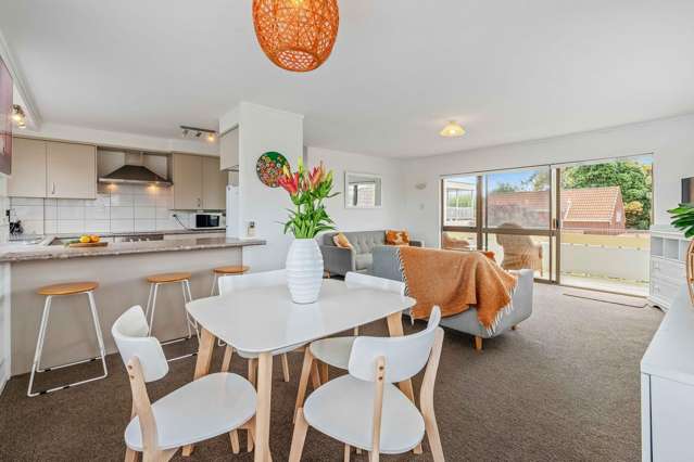 34b Tweed Street Mount Maunganui_2