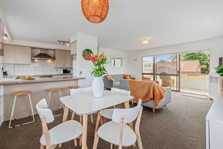 34b Tweed Street Mount Maunganui_1