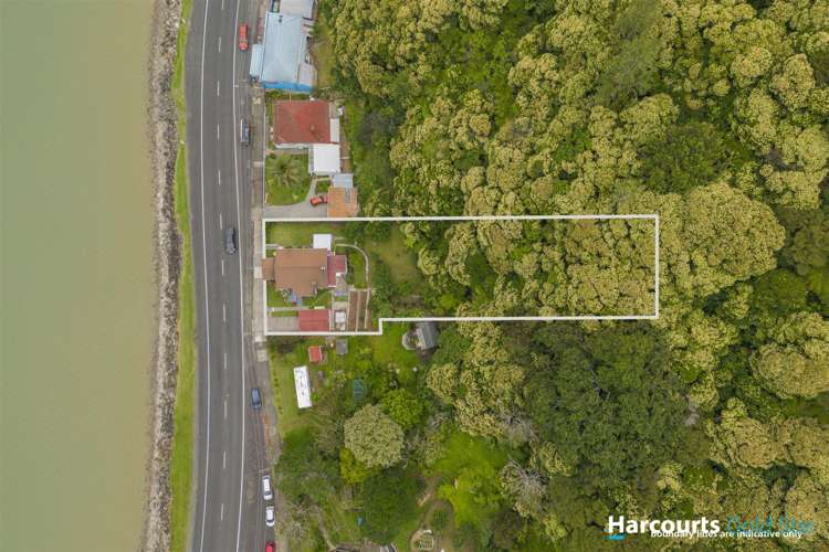 530 Tararu Sh25 Road Thames_17