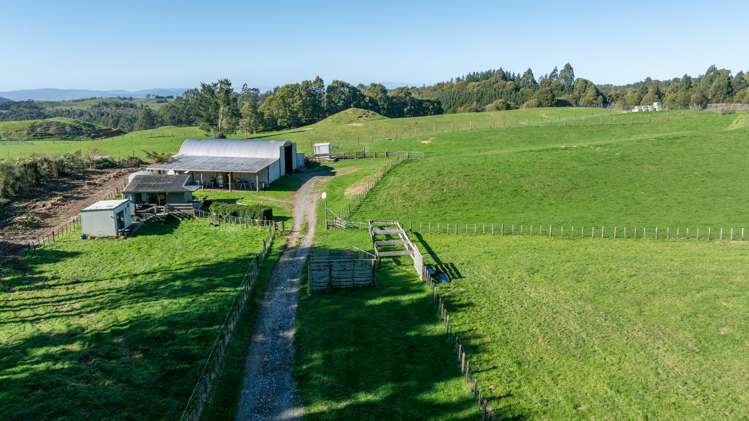 271 Endean Road Ngongotaha Valley_13