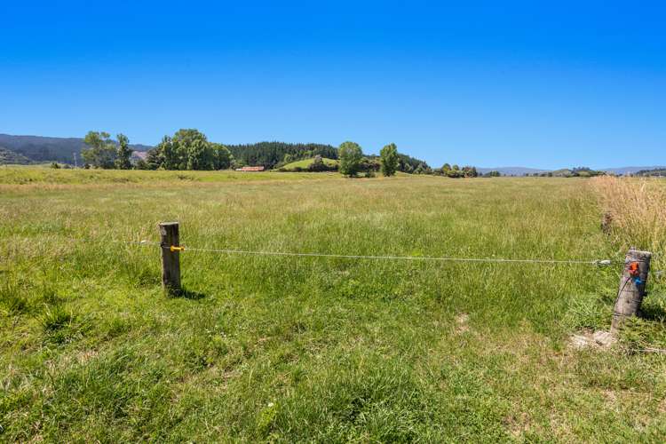 690 Taneatua Road Taneatua_16