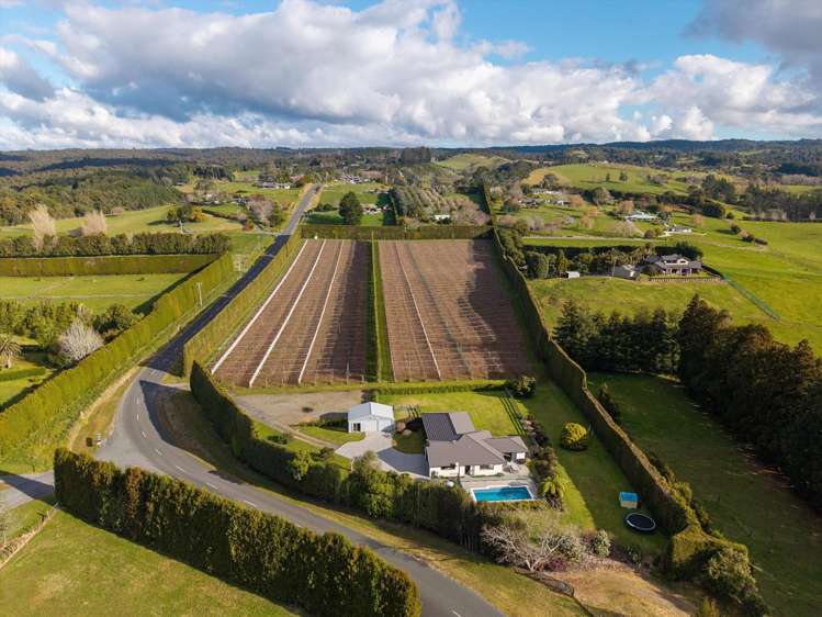 640 Esdaile Road Whakamarama_24