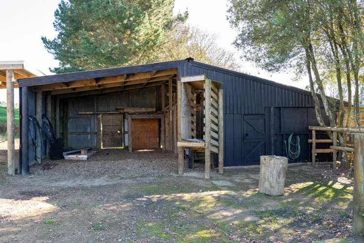 2/1873 Maungatautari Road Cambridge_6