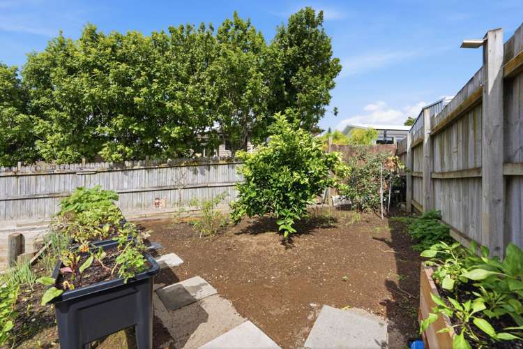 11A Ludlow Terrace Totara Vale_43
