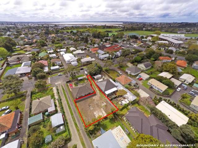 12a Riversdale Road Avondale_2