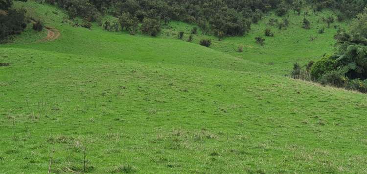 747c No 4 Road Te Puke_5