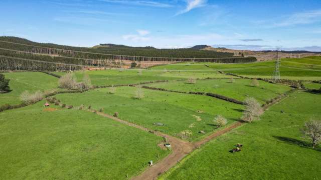 603 and 609 Kopuku Road Maramarua_1