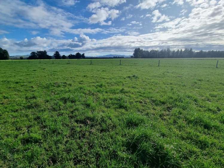 189 Homeview Road Cheviot_5