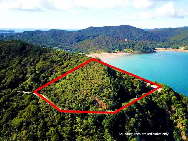 552 Blind Bay Road Great Barrier Island_2