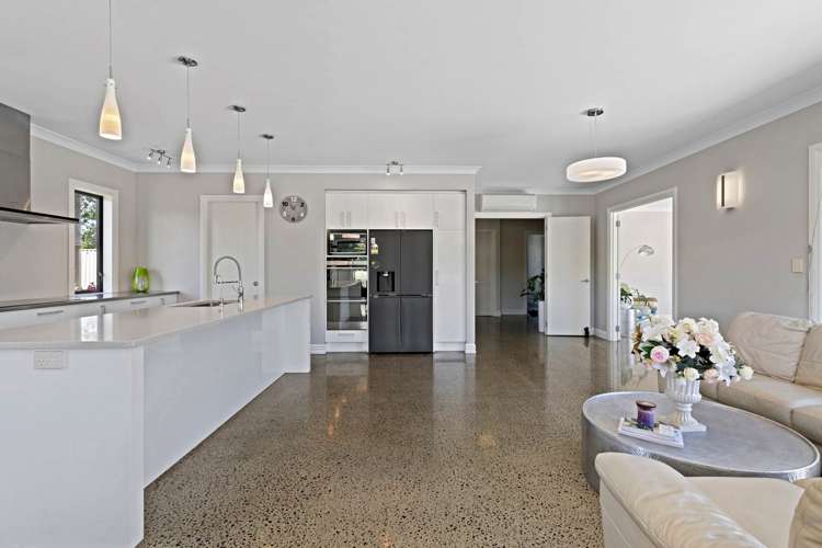 166J Postman Road Dairy Flat_19