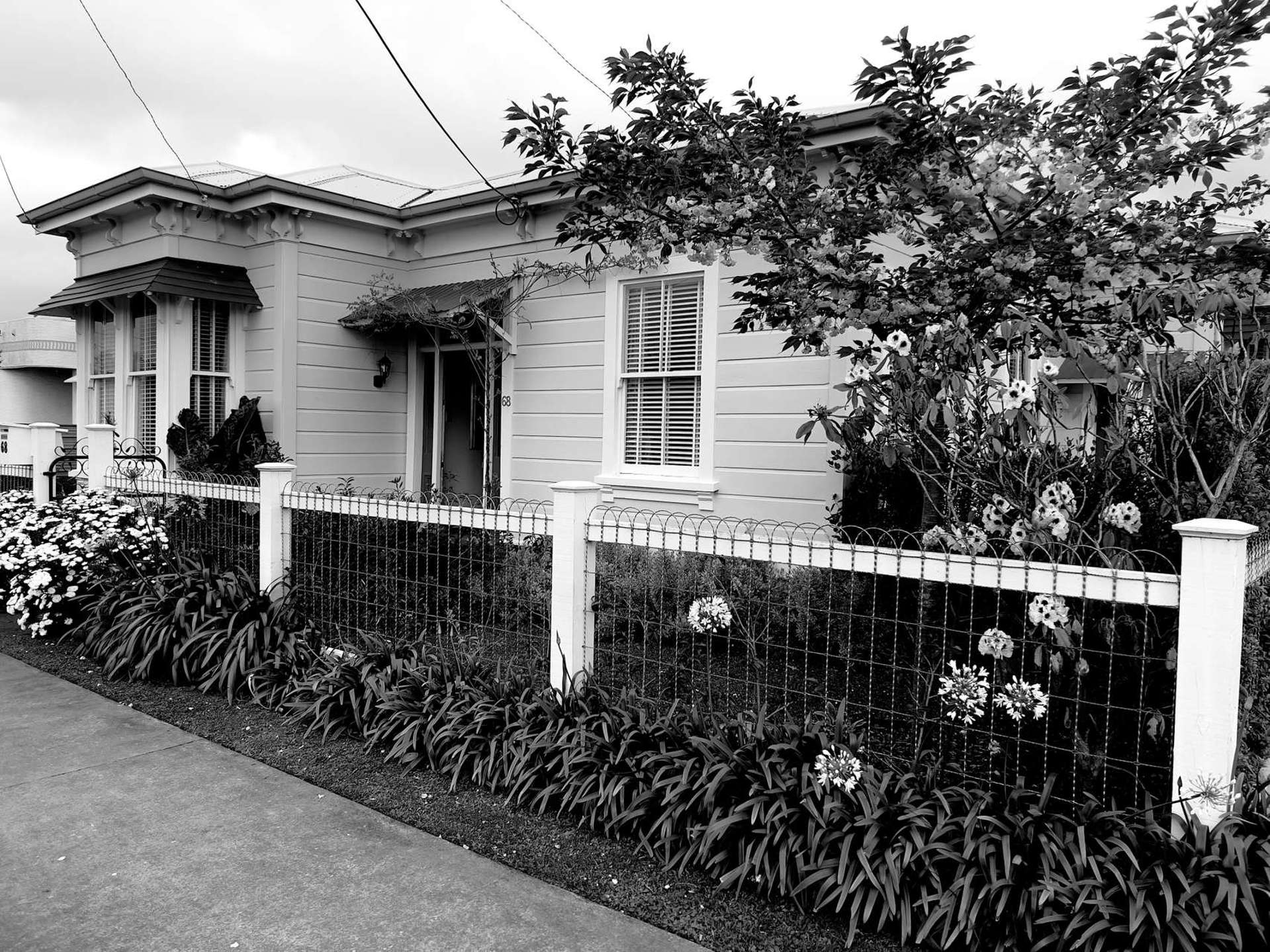 68 Liverpool Street Riversdale_0