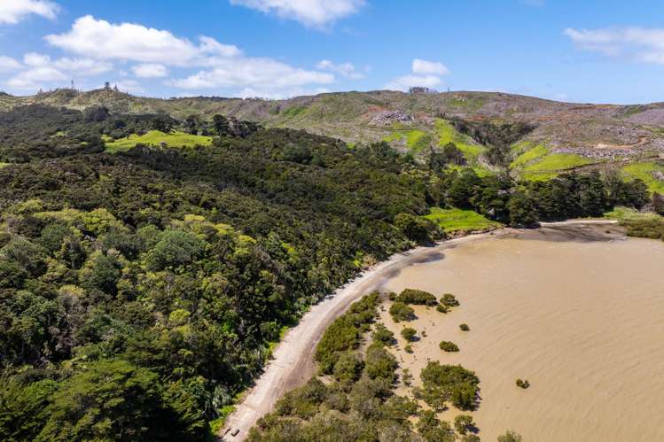 167 Summer Road Tinopai_41