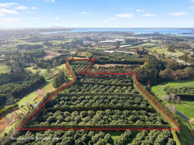 12 Timon Drive Hauraki Surrounds_3