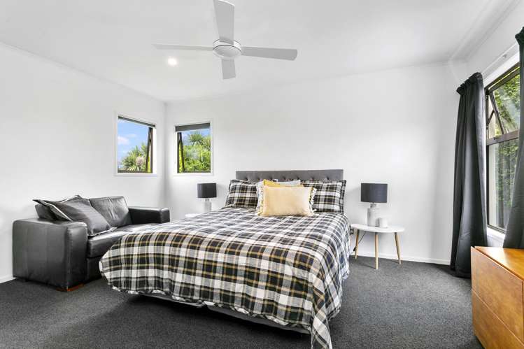 3786 State Highway 29 Te Poi_13