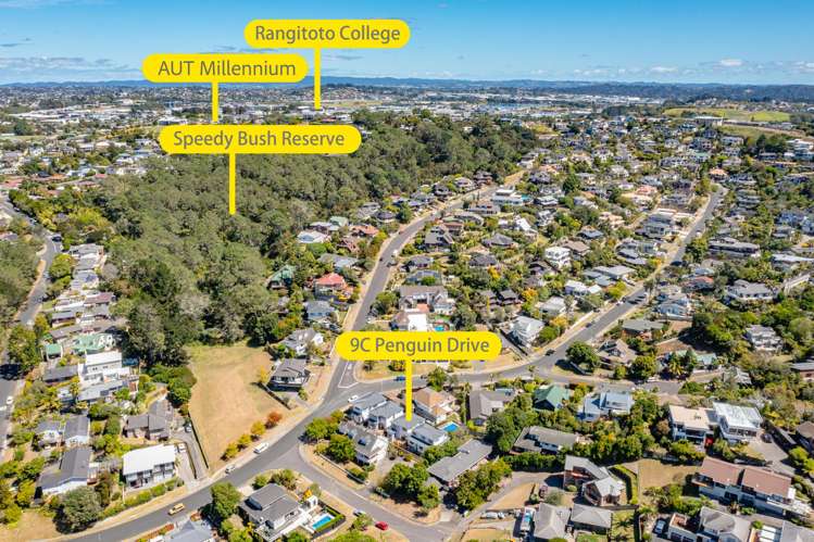 9c Penguin Drive Murrays Bay_24