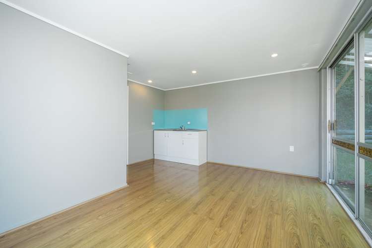 23 Whitmore Road Mount Roskill_17