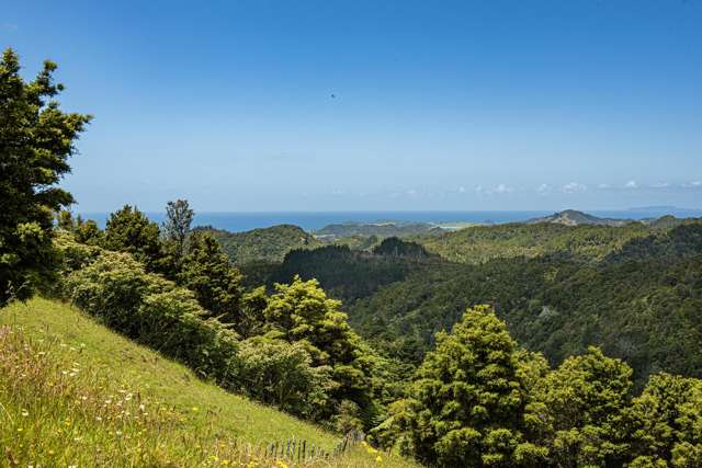 1403 Russell Road Helena Bay_1