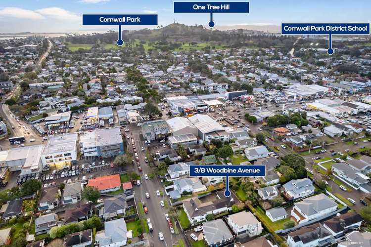 3/8 Woodbine Avenue Greenlane_12