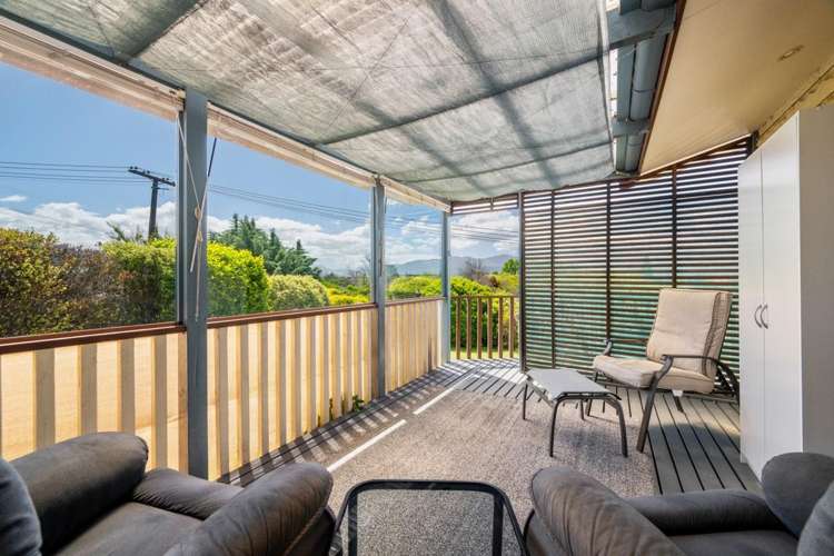 3 Wilson Street Renwick_11