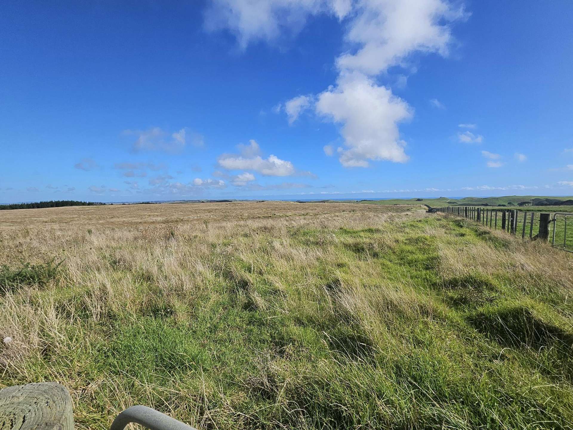 1 Basin Road Dargaville_0