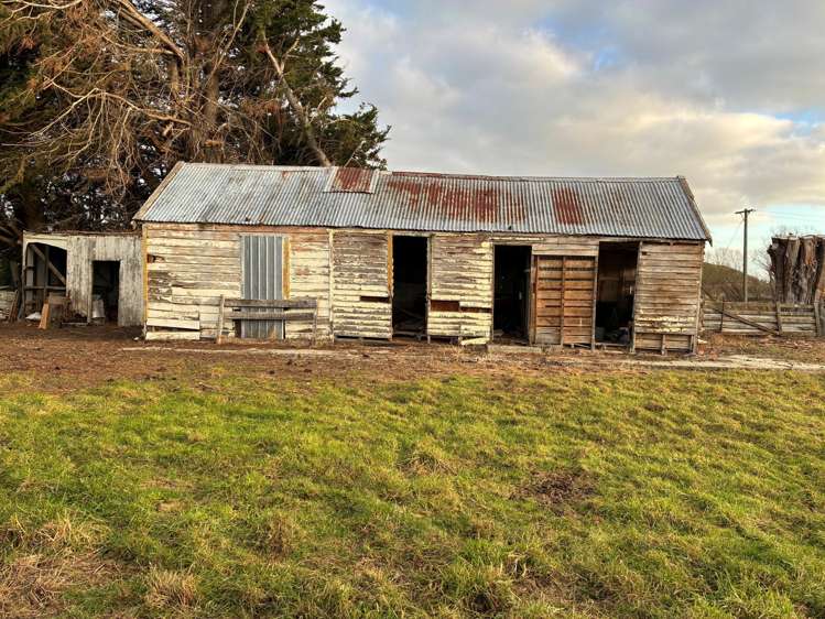 1 Black Street, Tokoiti Milton_8
