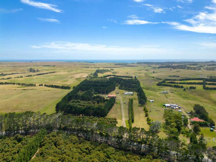 5126 State Highway One Ngataki_24