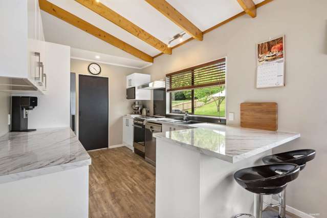 20 Reynolds Road Pukekohe_1