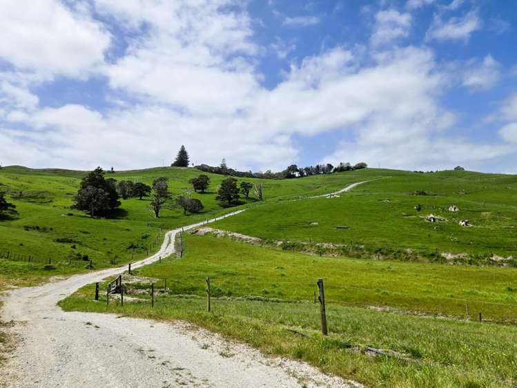 3050 Mititai Road Dargaville_10