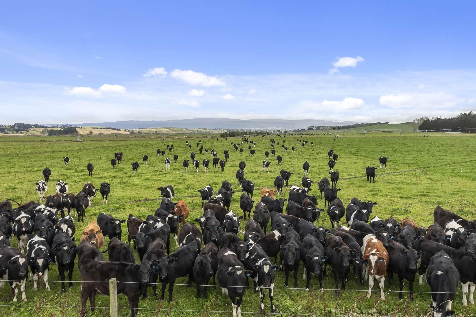 108 Allangrange Road Greenfield_0