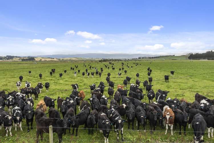 108 Allangrange Road Greenfield_0