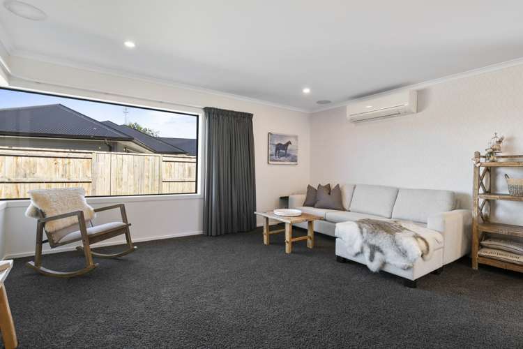 6 Waimarama Court Roslyn_13