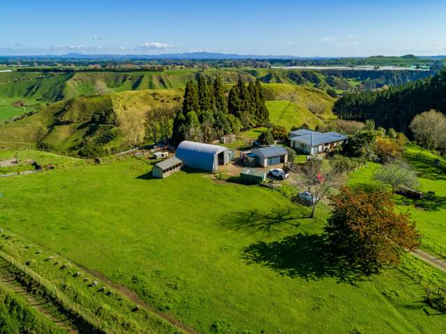 307 Campbell Road Pukehina_3