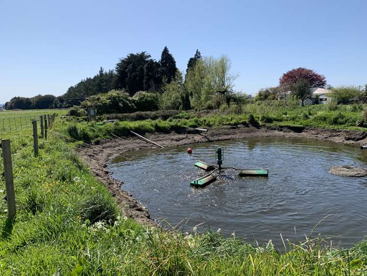 2442 Mountain Road Tariki_7