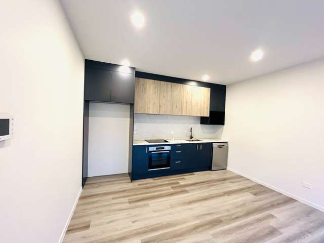 11 Puwha Street Massey_2