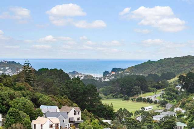 20A Pearce Street Vogeltown_4