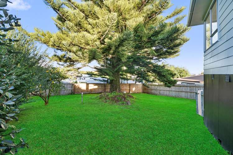 49 Hyperion Drive Randwick Park_16