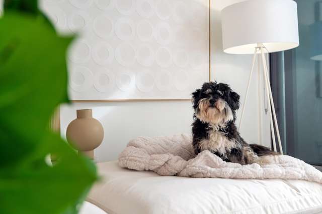 505/27 Union Street Auckland Central_4